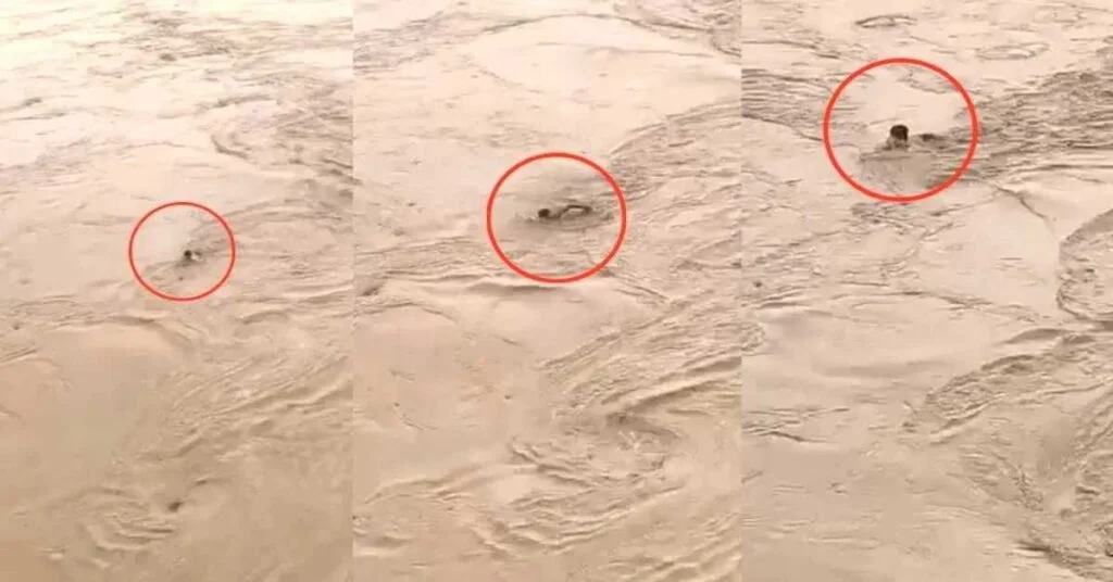 Untitle-2025-09-04T201858.085-1024x536